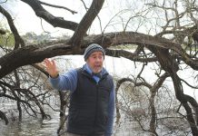 Guided tour of Lakes Guthridge & Guyatt during Nakunbalook celebrations