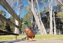 Reader Gallery – 23 August 2022