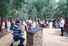 Forest bureaucracy ‘politicised’