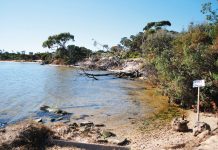 Storms threaten Loch Sport shoreline