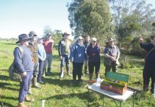Golden Retriever wins The Shire of Wellington Classic Retrieving Trial for Gundogs