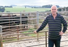 Shows urged to boost security against FMD