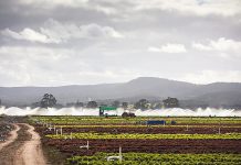 Central Gippsland Irrigation Incentives Program