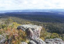 Mount Hedrick walking track near Maffra upgraded