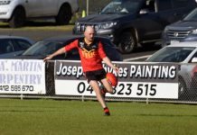 Brave Wildcats bow out