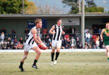 Sale’s fairy tale run ends with GF loss.