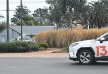 Relatively high plantation on York/Raglan St roundabout “problematic”: resident