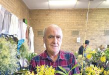 Winning orchids crowned