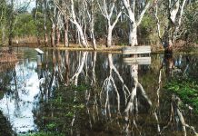 Flooding not just by name