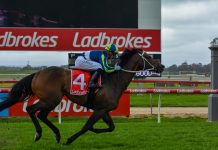 Uncle Bryn storms home