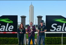 Sale Cup ready Sale Cup 2022