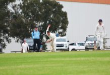 Dominant displays in SMCA