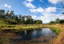 Protecting our Ponds preserving Gippsland waterways
