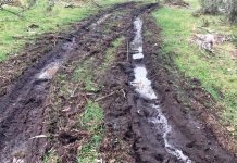 Bairnsdale man pays price for off-road damage