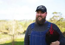 Animal Justice Party responds to budget