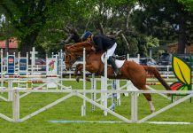 On show at the Sale Show