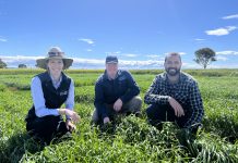Spring Field Day proves popular