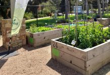 Grant for Lakeside Seed Garden