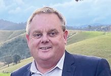 Bull criticises latest announcement on timber support