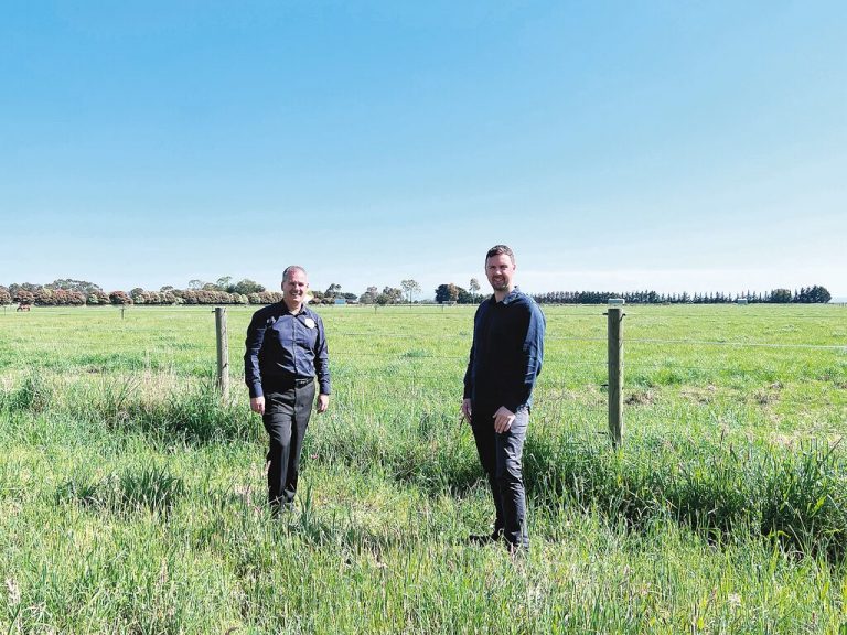 Grant received for Wetland project