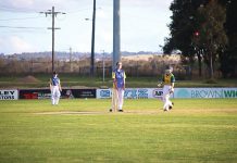 Festival of women’s cricket at Stephenson Park
