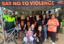 Day for Elimination of Violence against women