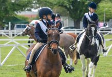 Locals perform strongly at dressage and show-jumping championships