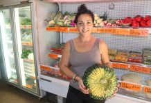 Victorian Farmers Federation create a new energy taskforce