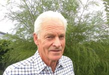 Comment: Gov timber policy is a dead end