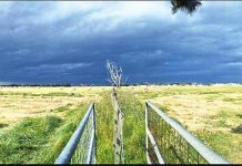 Reader Gallery December 23, 2022