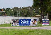 Sale greyhound death Sale Greyhound Club