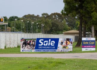VCAT overturns Kilmany dog track application Sale Greyhound Club