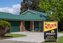 Looking into the current market