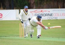 Thrilling tie for cricket vets