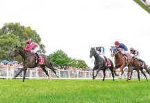 Sale runners get within a stone’s throw