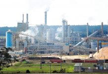 Maryvale Mill can meet climate demands: Opal Australian Paper