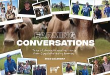 Dairy farmers on Gippsland Jersey calendar