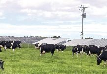 Have a field day with smart farm power