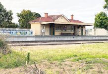 Stratford grass finally trimmed