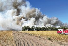 Reminder to be aware of fire risks by driving through dry grass: CFA
