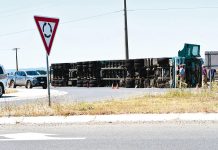 Truckie escapes unscathed in rollover