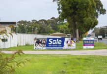 Sale records first greyhound death of the year