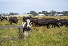 Weather extremes challenge Gippsland farmers