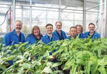 CSIRO researches help deliver food security