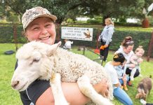 Much to love about Parks Week in 2023