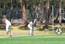 South African shines for Sale in SMCA