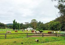 Preparing Victorian farms for the challenges and opportunities ahead