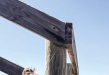 Reader Gallery January 27 2023