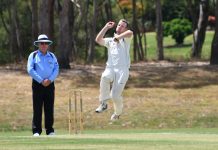 SMCA’s Dark Horse strikes again