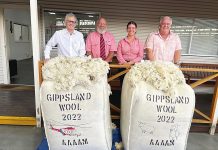 Gippsland wool growers exceed $100,000 in donations to Helimed